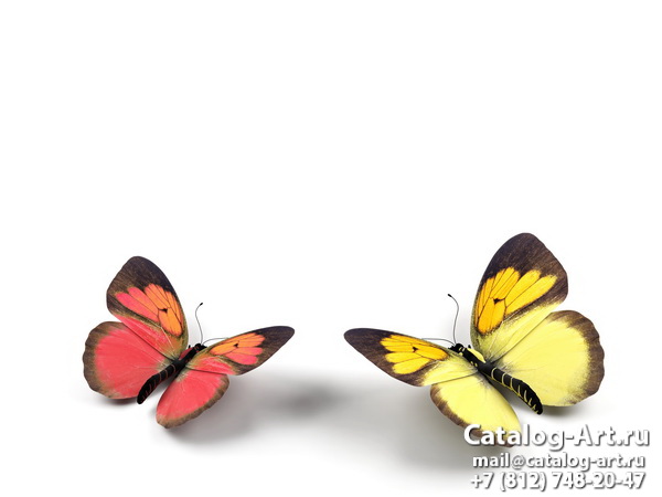  Butterflies 68